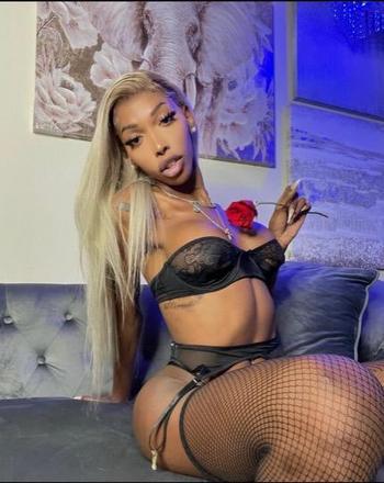 7083261204, transgender escort, Louisville